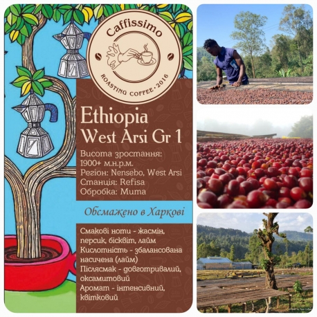 Кофе в зернах Эфиопия Ненсебо Рефиса